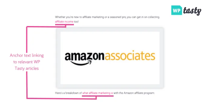 An image showing an example of internal linking and relevant anchor text used in internal linking.