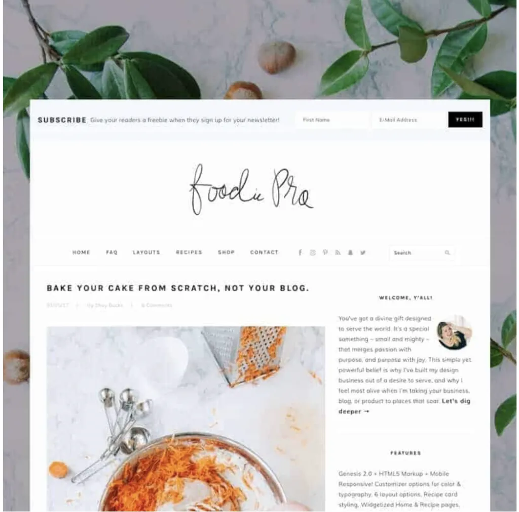 When you start a food blog, you need a food blog theme. This image shows Foodie Pro in action. It's layout, font, style, etc.