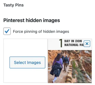 hide pinterest images with Tasty Pins featured image