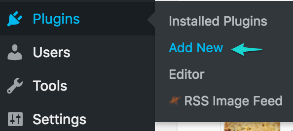 The add new button for plugins on WordPress