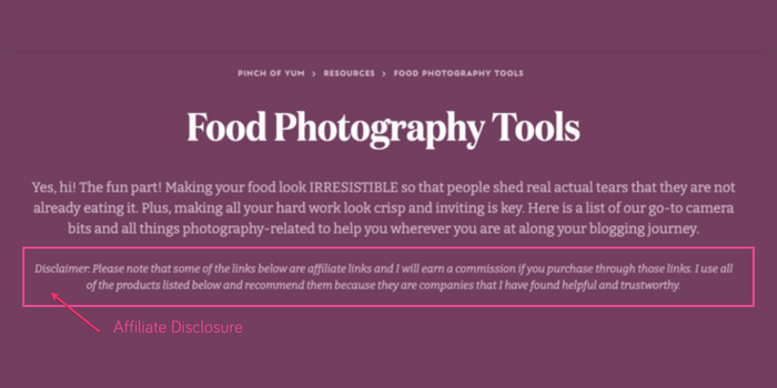 Affiliate disclosure in Pinch of Yum's food photography tools resource page