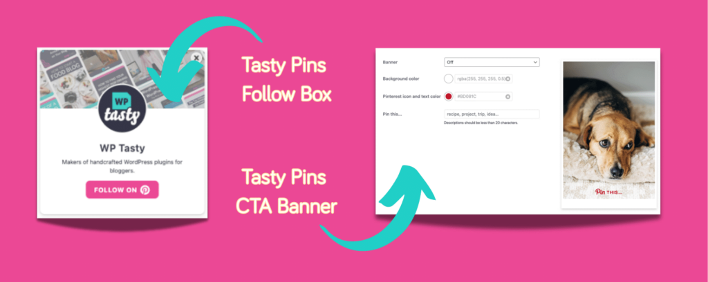 Tasty Pins Follow Box and Pinterest CTA banner options shown with example settings and image preview