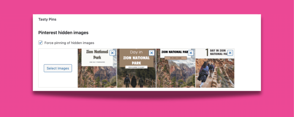 Tasty Pins settings showing multiple hidden Pinterest images selected with Force Pin enabled.