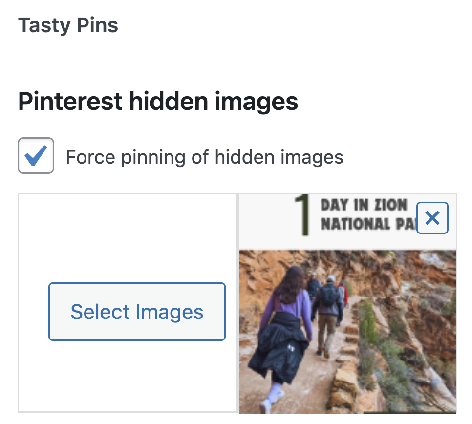 hide pinterest images with Tasty Pins featured image